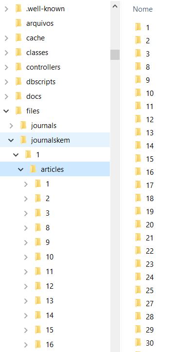 Estrutura do diretório "journalskem".